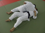 柔道培訓(xùn)費(fèi)用